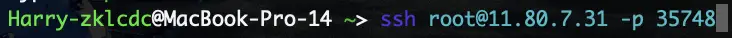 SSH 登录